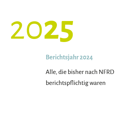 2025, Berichtsjahr 2024, Alle, die bisher nach NFRD berichtspflichtig waren